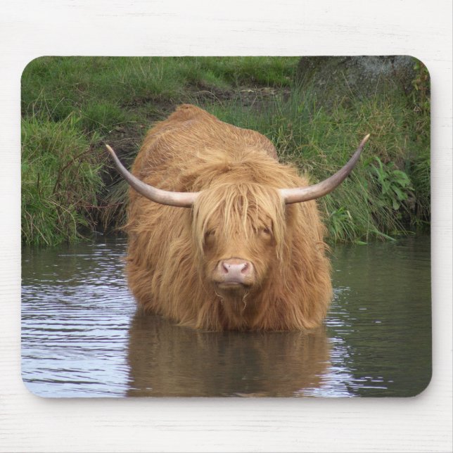 Highland Cattle Mouse Mat (Front)
