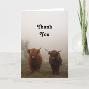 Highland Cattle Thank You Card