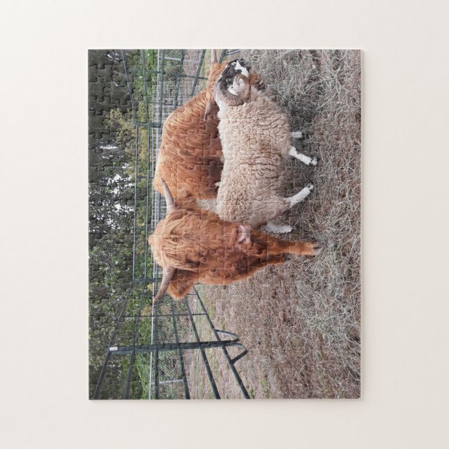 Highland Coos and Sheep Jigsaw Puzzle (Vertical)