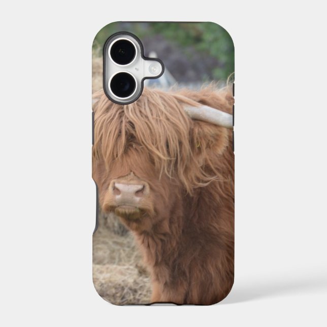 Highland Cow (Back)