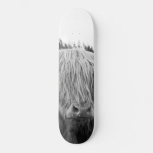 Highland Cow #6 #wall #art  Skateboard