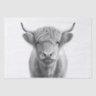 Highland Cow Adorable