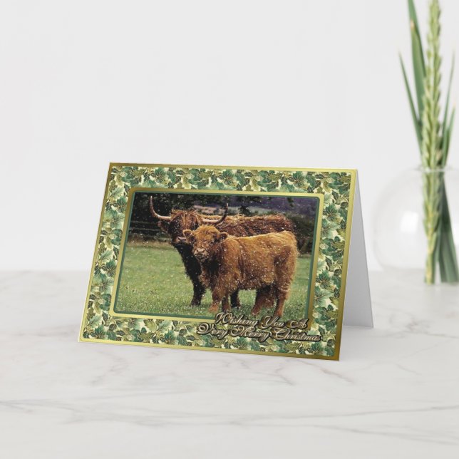 Highland Cow And Calf Blank Christmas Card (Front)