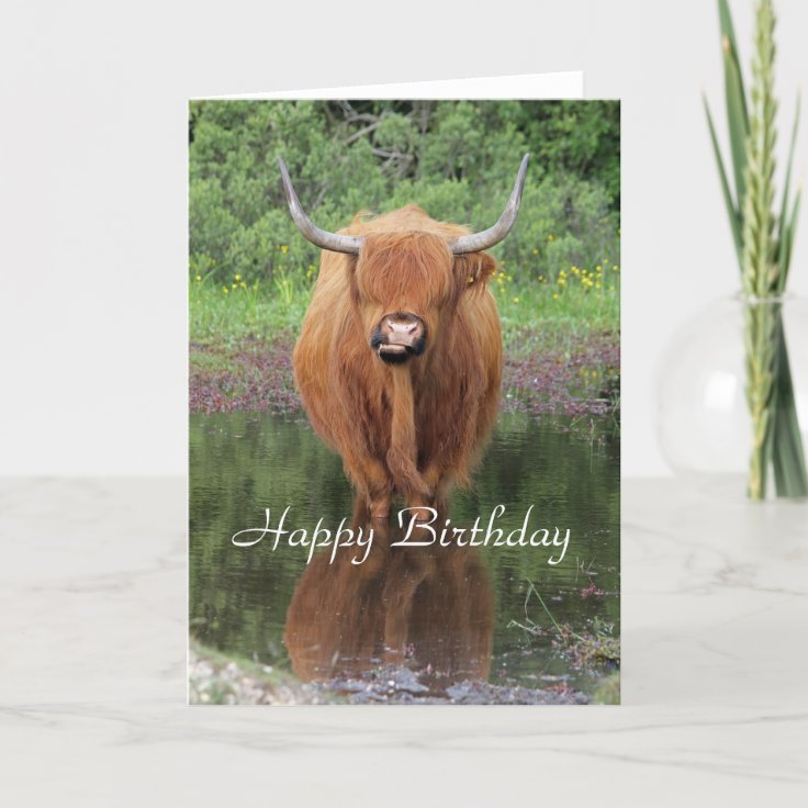 Highland cow birthday card | Zazzle