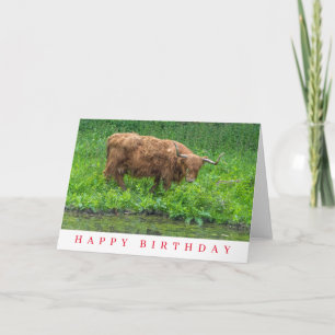 Highland Cow birthday card