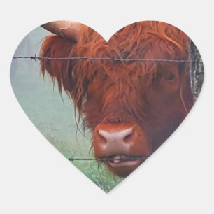 Highland Cow Biting A Wire Fence Heart Sticker