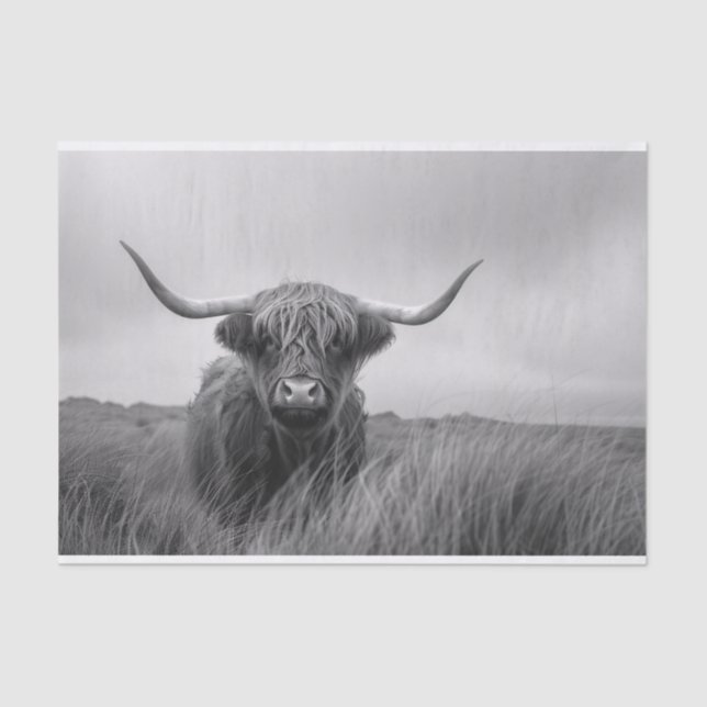 Highland Cow Black and White Decoupage Tissue Paper (Front)