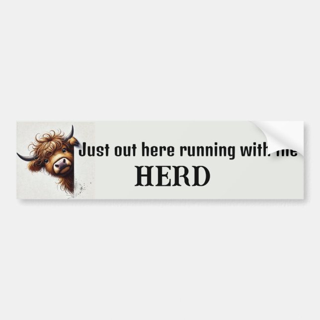 Highland Cow Bumper Sticker (Front)