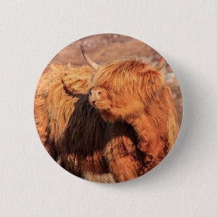 Highland Cow Button Badge