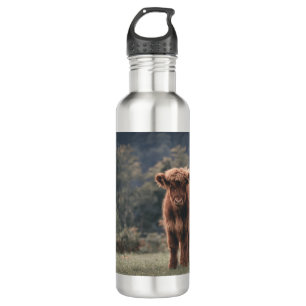 Highland cow calf autumn grass field 710 ml water bottle
