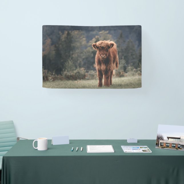 Highland cow calf autumn grass field banner (Tradeshow)
