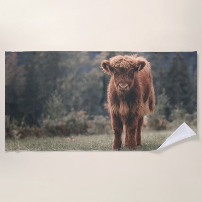 Highland cow calf autumn grass field beach towel (Front)
