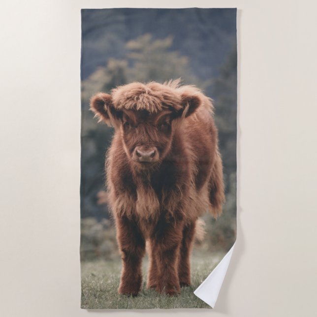Highland cow calf autumn grass field beach towel (Front)