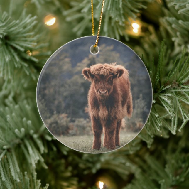 Highland cow calf autumn grass field ceramic tree decoration (Tree)