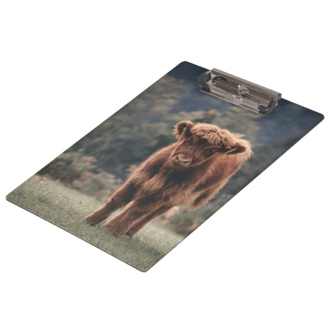 Highland cow calf autumn grass field clipboard (Angled)