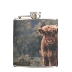 Highland cow calf autumn grass field hip flask