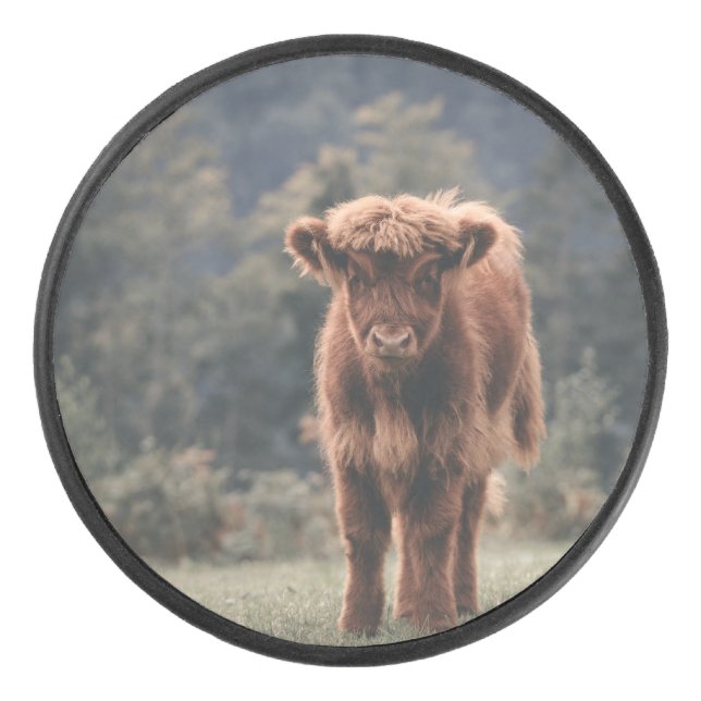 Highland cow calf autumn grass field hockey puck (Front)