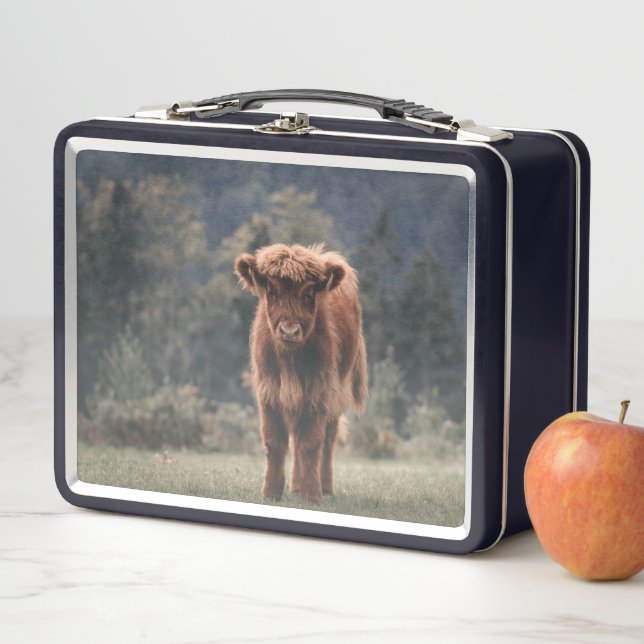 Highland cow calf autumn grass field metal lunch box (In Situ)