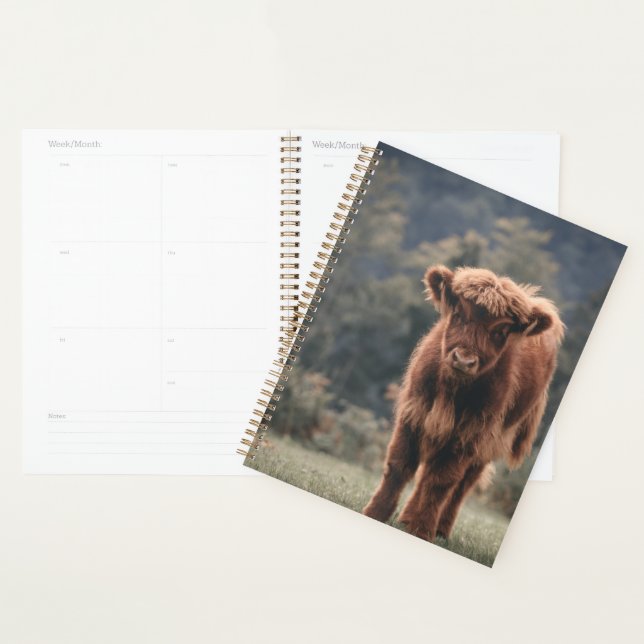 Highland cow calf autumn grass field planner (Display)