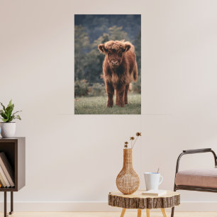 Highland cow calf autumn grass field poster