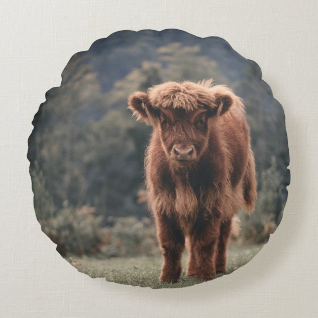 Highland cow calf autumn grass field round cushion (Front)