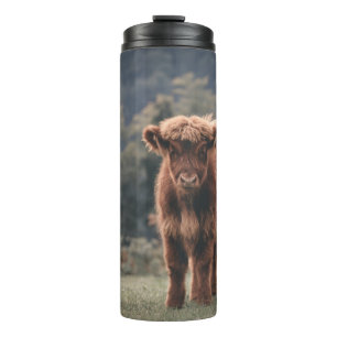 Highland cow calf autumn grass field thermal tumbler