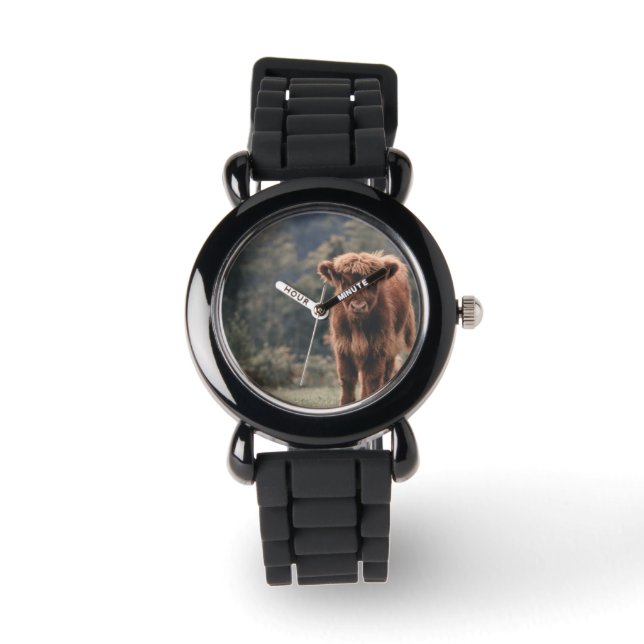 Highland cow calf autumn grass field watch (Front)