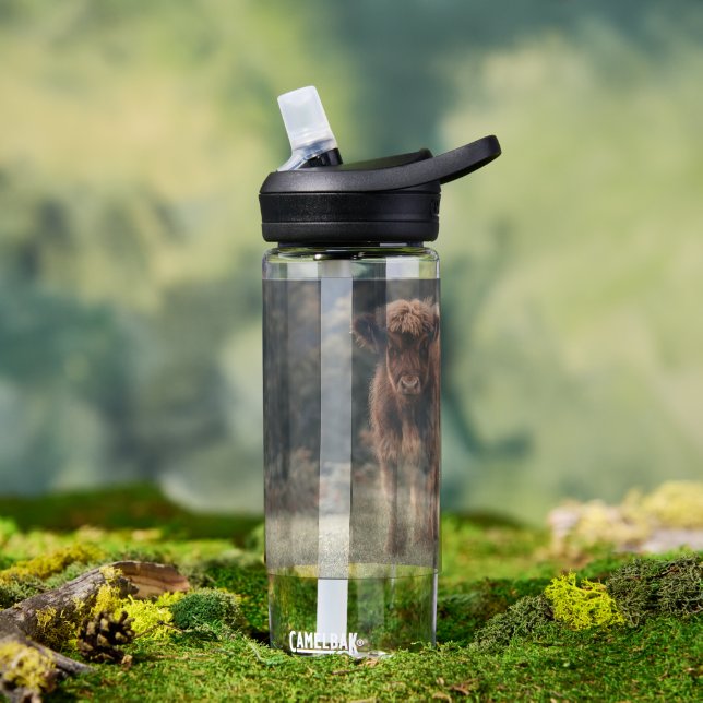 Highland cow calf autumn grass field water bottle (Outdoor)