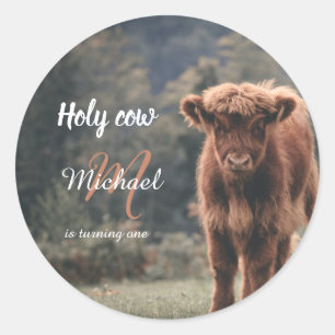 Highland cow calf monogram first birthday party classic round sticker