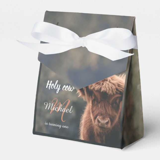 Highland cow calf monogram first birthday party favour box (Front Side)