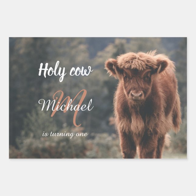 Highland cow calf monogram first birthday party wrapping paper sheet (Front)
