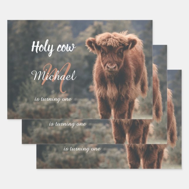 Highland cow calf monogram first birthday party wrapping paper sheet (Set)