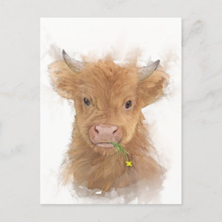 Highland Cow Calf Portrait Postcard