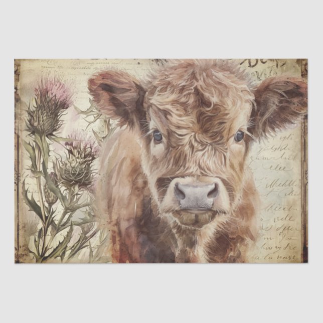 Highland Cow Calf Scotland Thistle Watercolor Tissue Paper (Front)