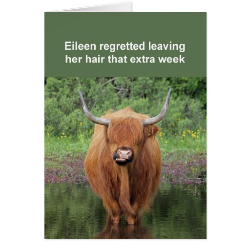 Image of Highland cow card