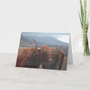 Highland Cow Card