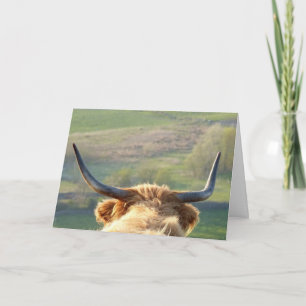 Highland cow card
