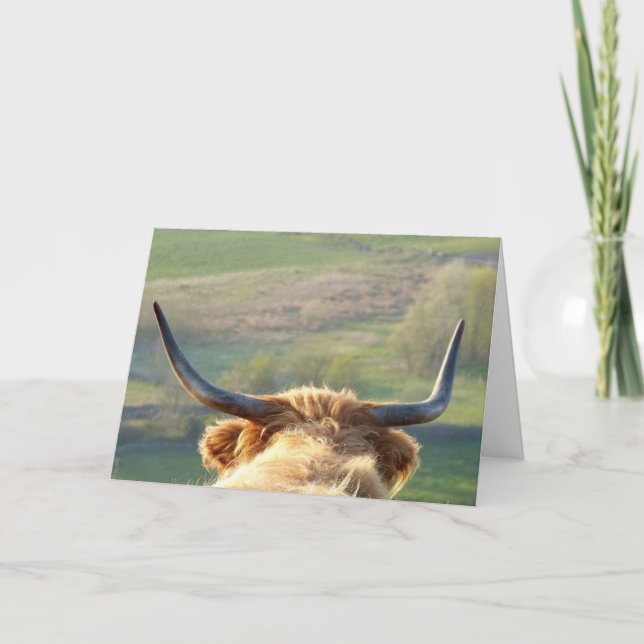 Highland cow card (Front)
