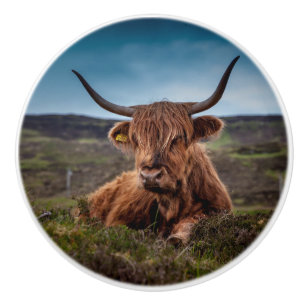Highland Cow Ceramic Knob