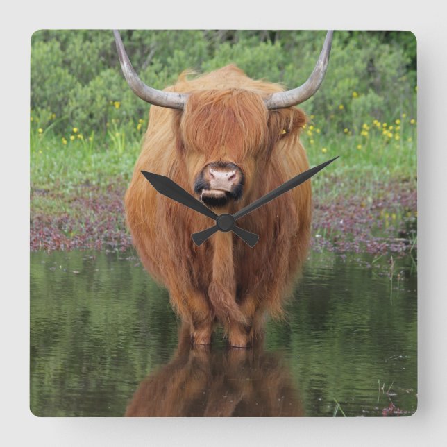 Highland cow clock (Front)