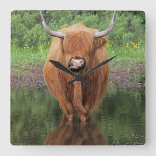 Highland cow clock