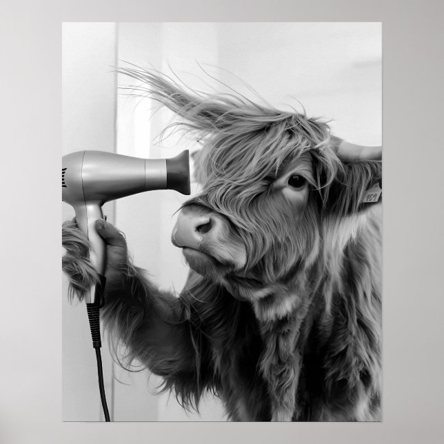  Highland Cow Doing Hair Styling Getting Ready Poster (Front)