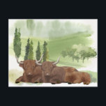 Highland Cow Family Watercolor Scotland Postcard<br><div class="desc">This design may be personalised by choosing the Edit Design option. You may also transfer onto other items. Contact me at colorflowcreations@gmail.com or use the chat option at the top of the page if you wish to have this design on another product or need assistance. See more of my designs...</div>
