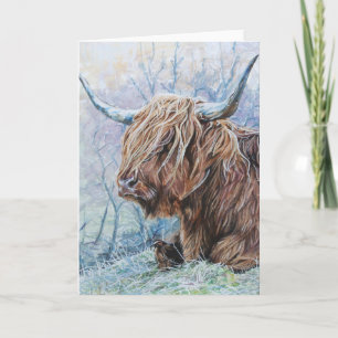 Highland cow, frosty morning card