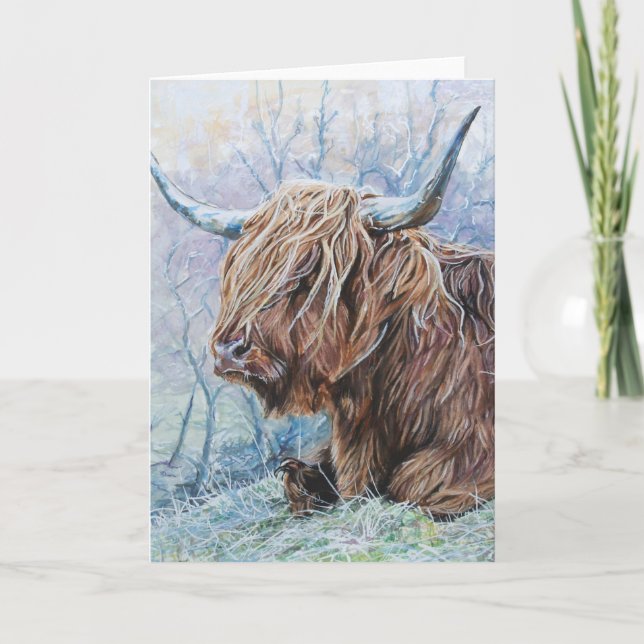 Highland cow, frosty morning holiday card (Front)