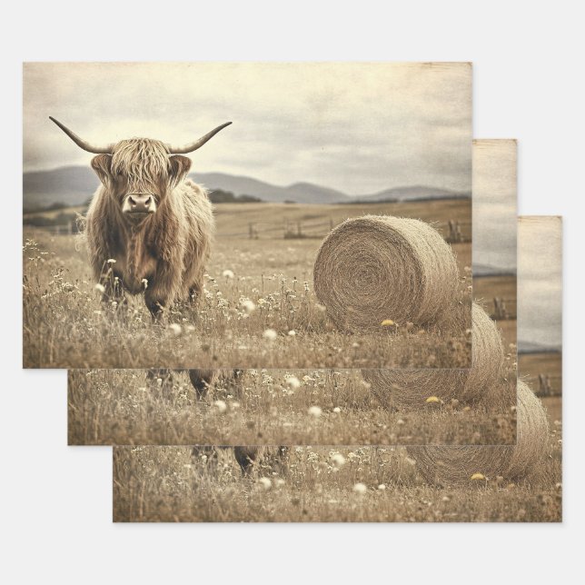 Highland Cow in a Hay Field Decoupage Wrapping Paper Sheet (Set)
