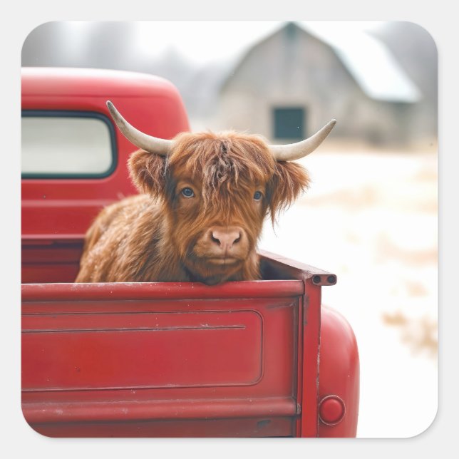 Highland Cow In a Red Retro Pickup Truck Square Sticker (Front)