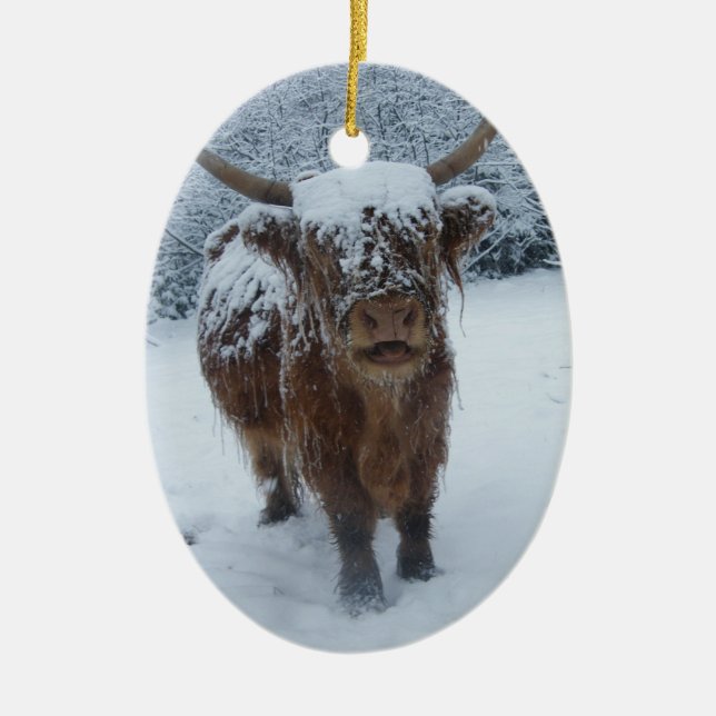 Highland Cow in the Snow Ceramic Tree Decoration (Front)