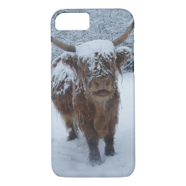 Highland Cow In The Snow iPhone Case (Back)