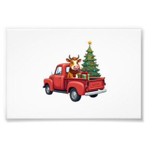 Highland Cow in Truck Farm Farmer Christmas Cow Ca Photo Print